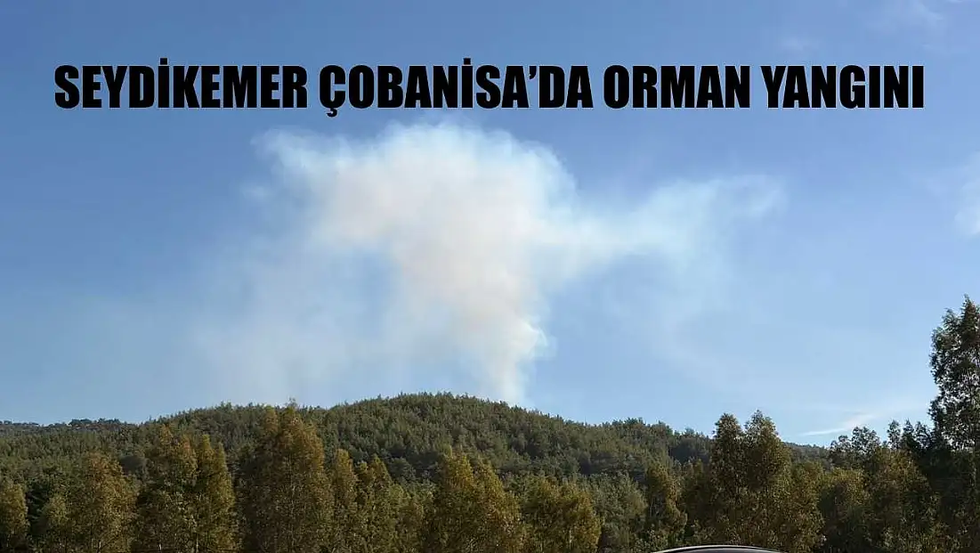 Seydikemer Çobanisa’da Orman Yangını