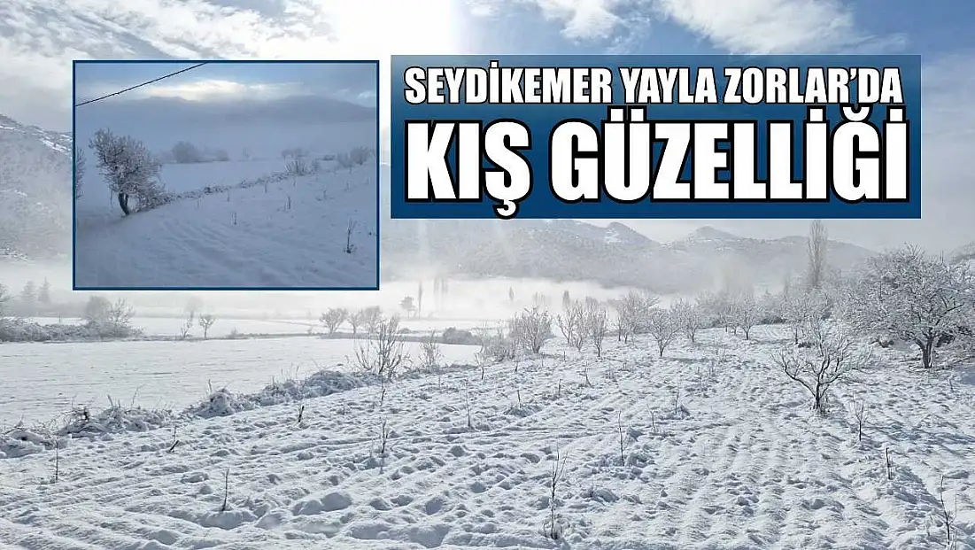 Seydikemer Yayla Zorlar’da kış güzelliği