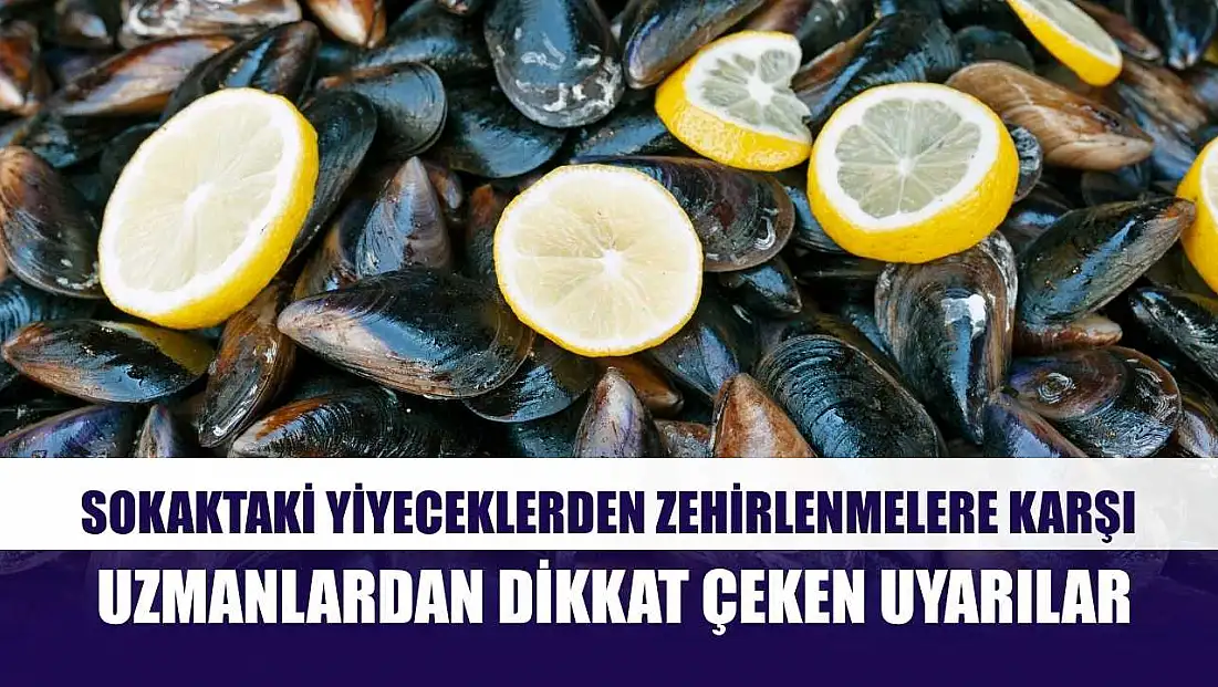 Sokaktaki yiyeceklerden zehirlenmelere karşı uzmanlardan dikkat çeken uyarılar