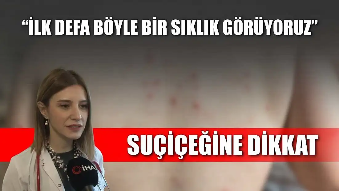 Suçiçeğine dikkat : 'İlk defa böyle bir sıklık görüyoruz'