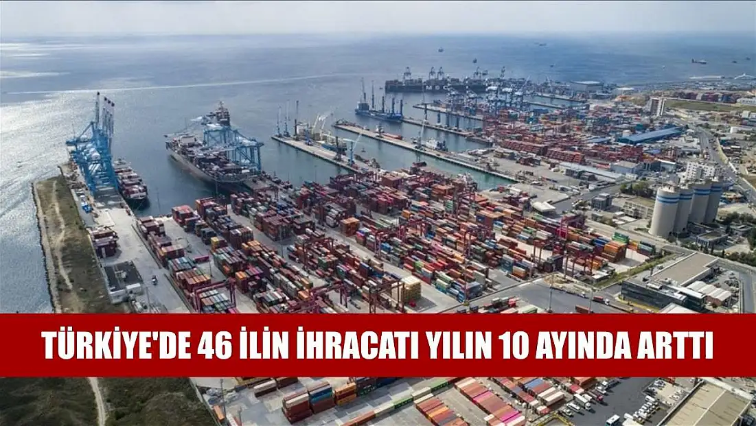 Türkiye'de 46 ilin ihracatı yılın 10 ayında arttı