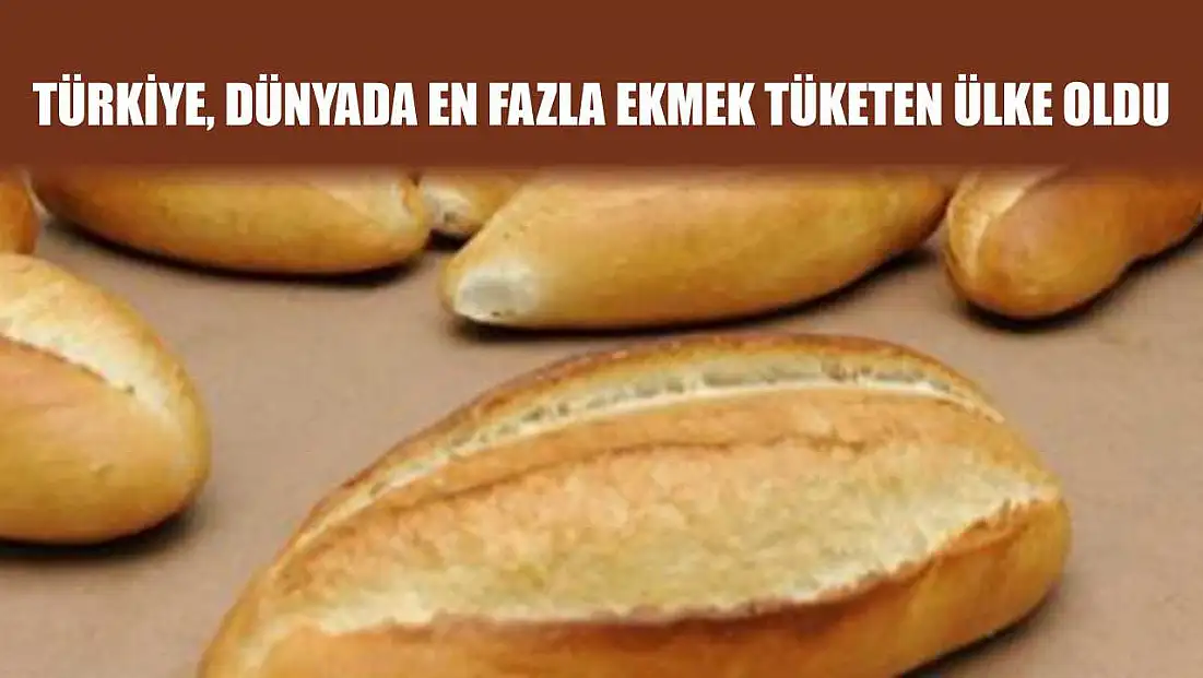Türkiye, Dünyada En Fazla Ekmek Tüketen Ülke Oldu