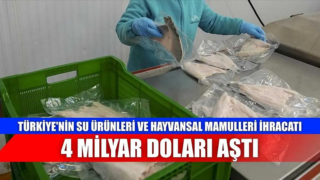 Türkiye'nin su ürünleri ve hayvansal mamulleri ihracatı 4 milyar doları aştı