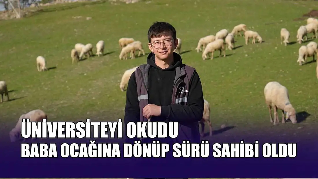 Üniversiteyi okudu, baba ocağına dönüp sürü sahibi oldu