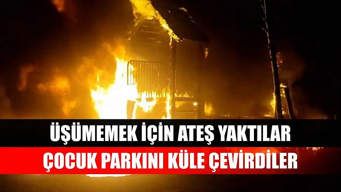 Üşümemek için ateş yaktılar, çocuk parkını küle çevirdiler