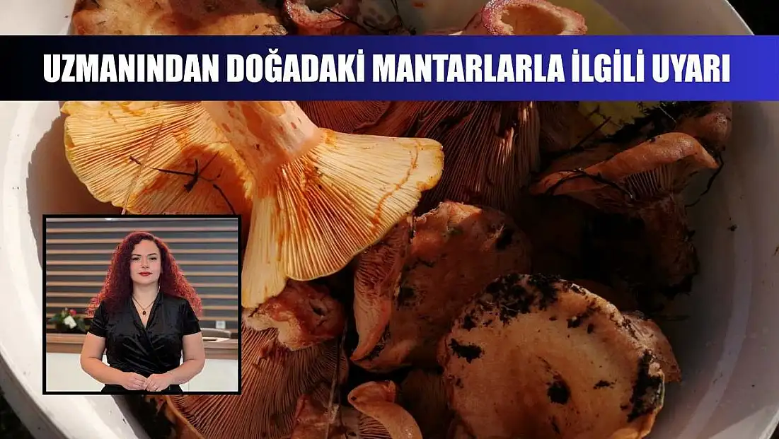 Uzmanından doğadaki mantarlarla ilgili uyarı