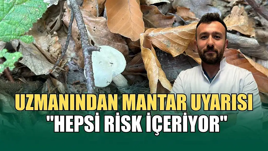 Uzmanından mantar uyarısı: ‘Hepsi risk içeriyor’