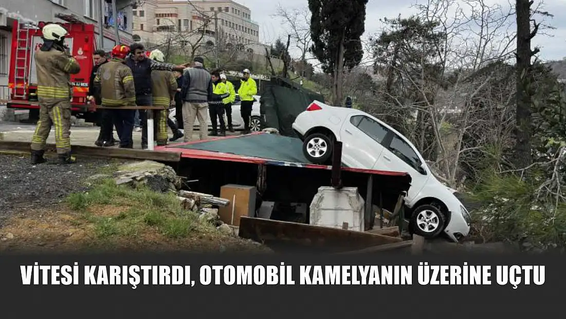 Vitesi karıştırdı, otomobil kamelyanın üzerine uçtu