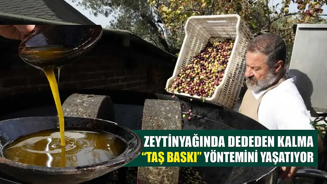 Zeytinyağında dededen kalma 'taş baskı' yöntemini yaşatıyor