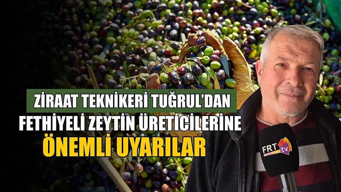 Ziraat Teknikeri Tuğrul’dan, Fethiyeli zeytin üreticilerine önemli uyarılar
