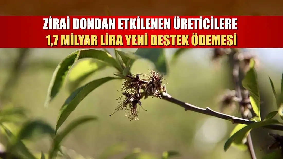 Zirai dondan etkilenen üreticilere 1,7 milyar lira yeni destek ödemesi