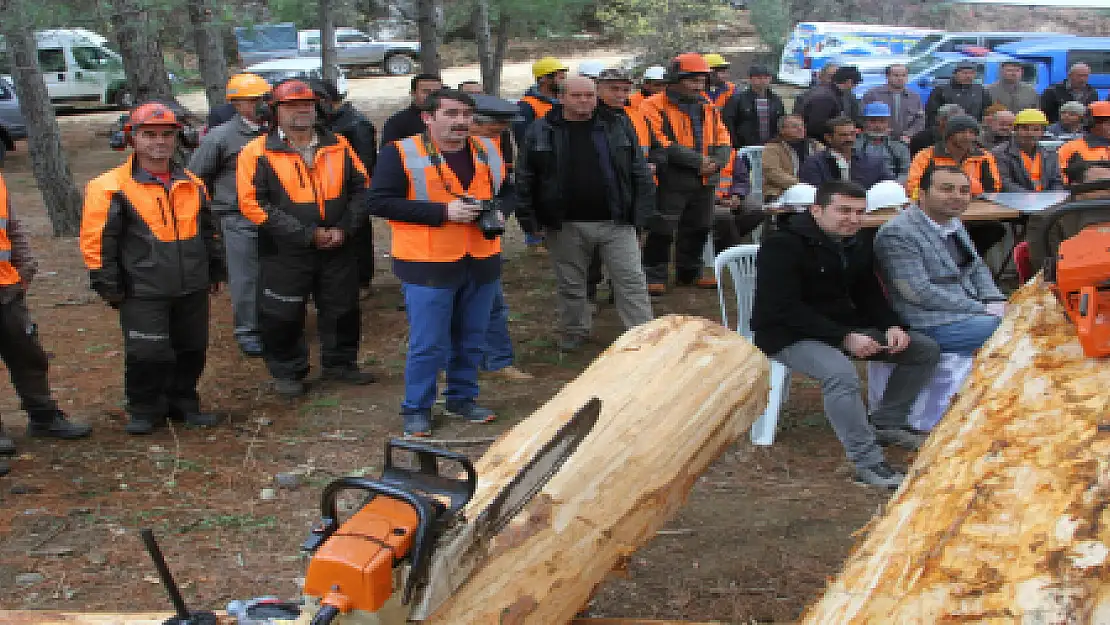 FETHİYE'DE AĞAÇ KESME TATBİKATI YAPILDI...