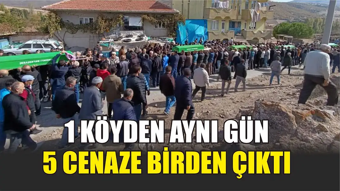 1 köyden aynı gün 5 cenaze birden çıktı