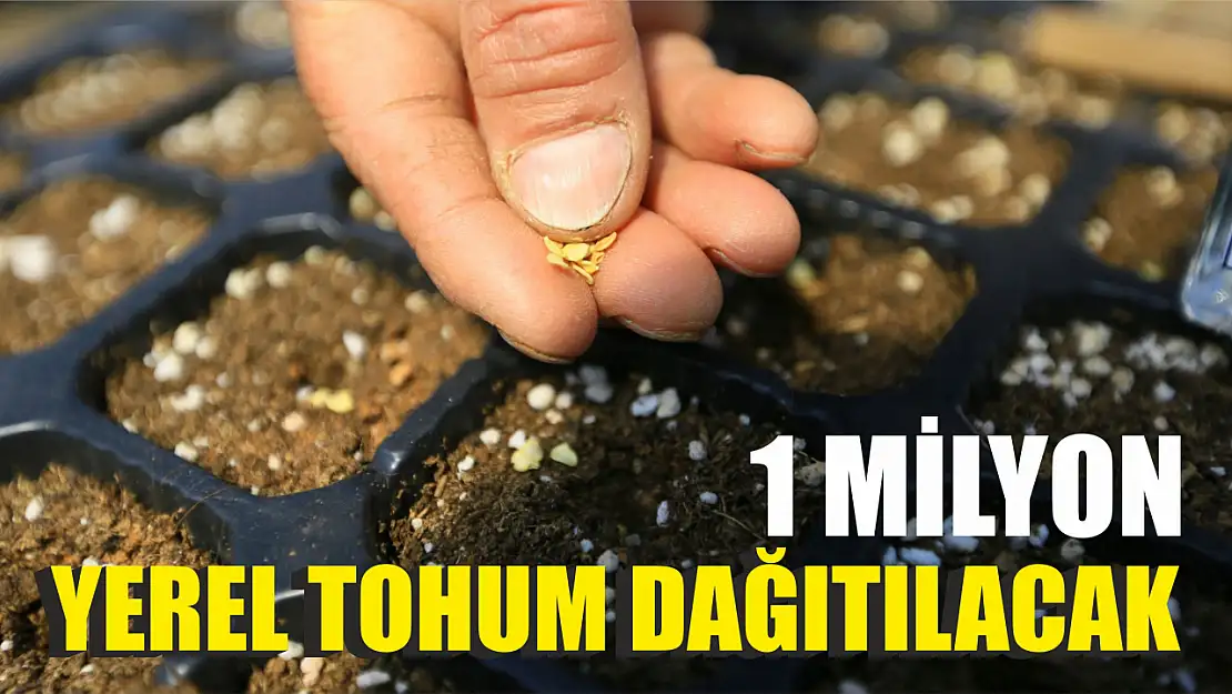 1 Milyon Yerel Tohum Dağıtılacak