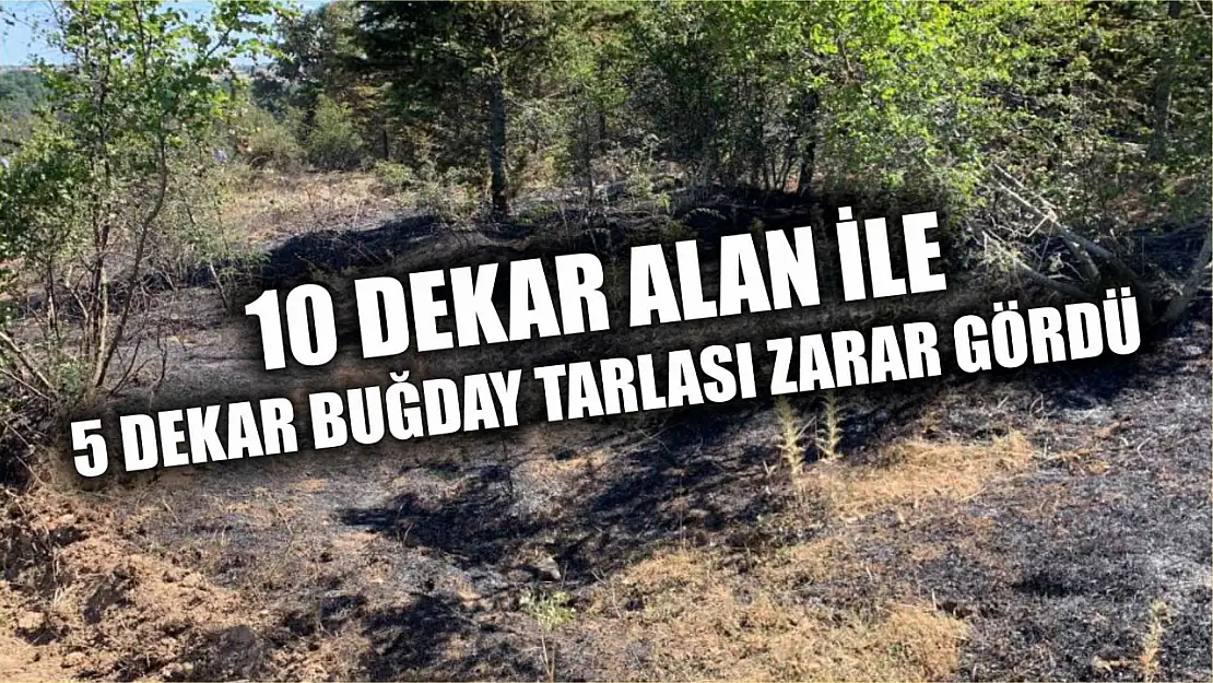 10 dekar alan ile 5 dekar buğday tarlası zarar gördü