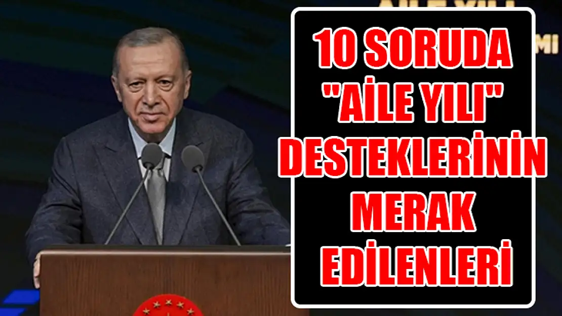 10 soruda 'Aile Yılı' desteklerinin merak edilenleri