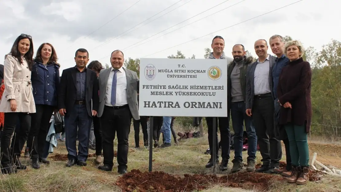 100 adet Çam Fidanı Dikildi