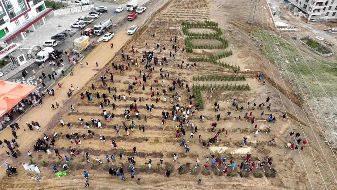 100. Yıl Cumhuriyet 2023 adet fidan dikildi