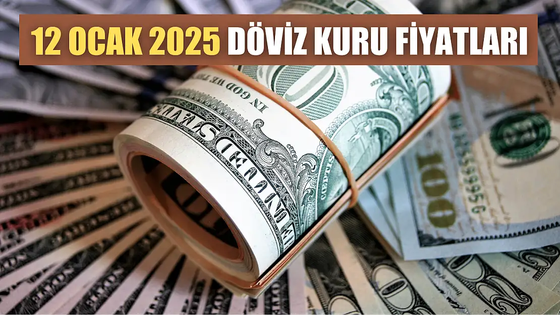 12 Ocak 2025 Döviz Kuru Fiyatları