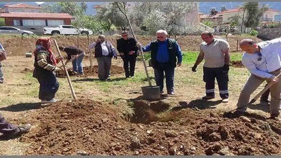 ÖLÜDENİZ  YEŞİLLENİYOR