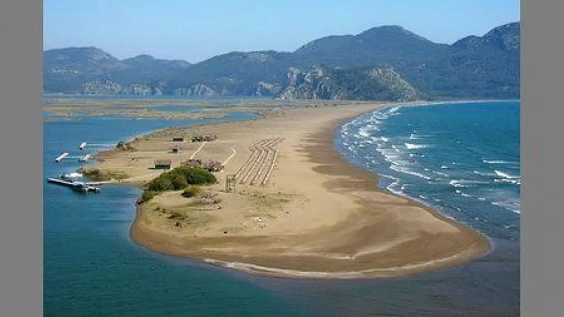 Dünyaca ünlü İztuzu Sahilinde biyoçeşitlilik sergisi