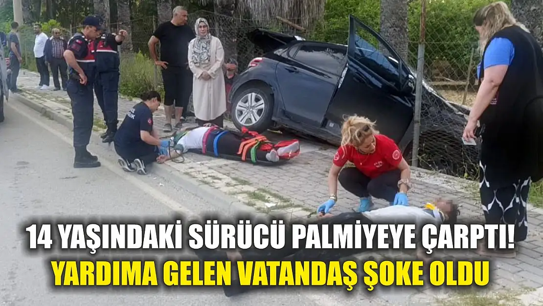 14 yaşındaki sürücü palmiyeye çarptı! Yardıma gelen vatandaş şoke oldu