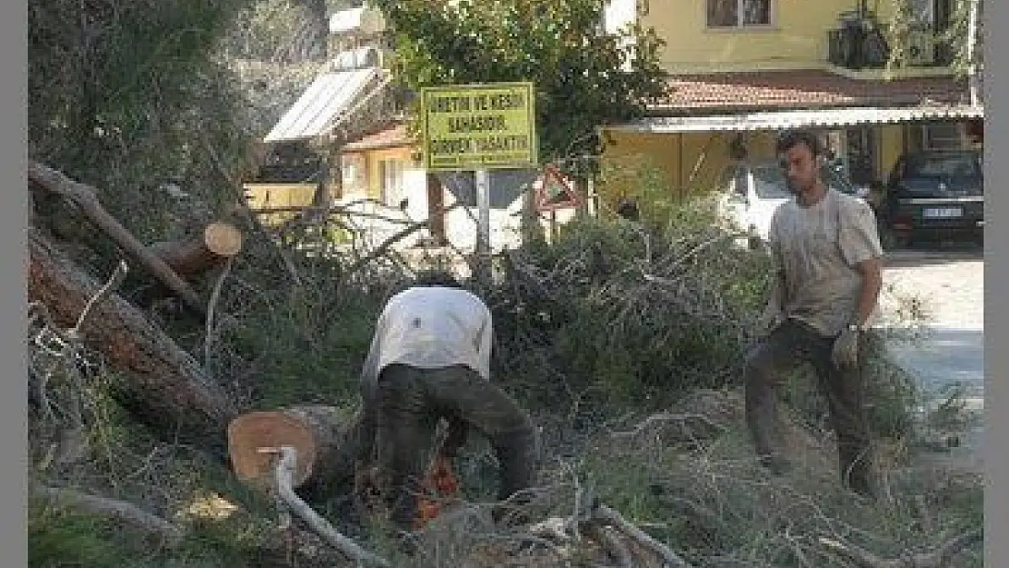 ORMAN YANGINI ÖNLEME ÇALIŞMALARI BAŞLADI