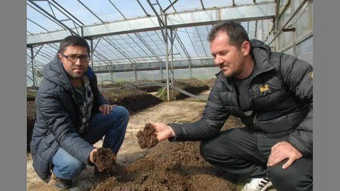  SERACILAR SOLUCAN GÜBRESİNİ KAPIŞIYOR