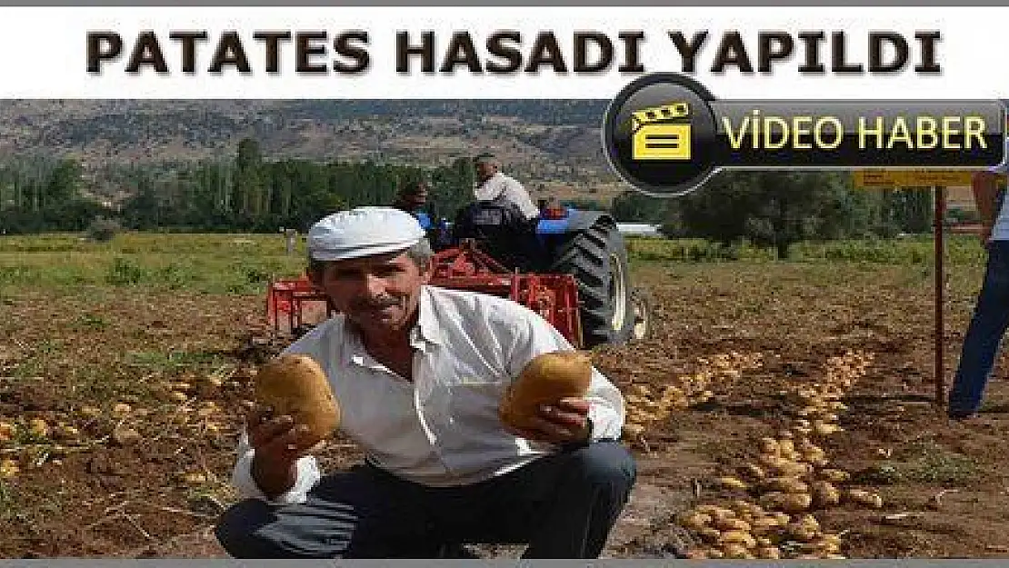 PATATES HASADI DAVUL ZURNAYLA YAPILDI