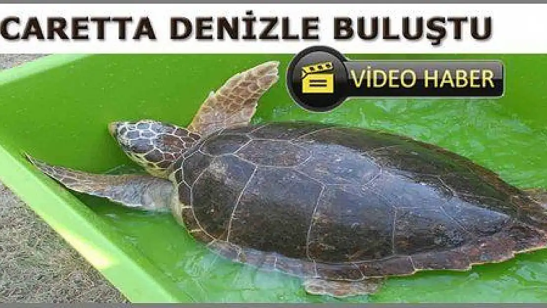 CARETTA 4 AYDA İYLEŞTİRİLDİ