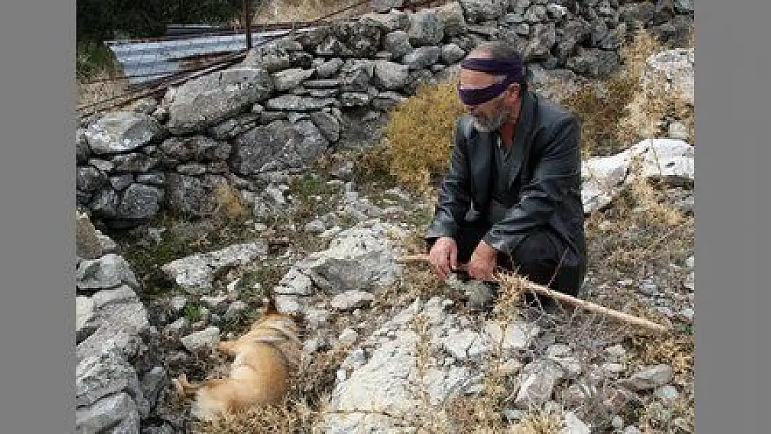 ZEHİRLENEN KÖPEĞİNİN YERİNE YENİSİ VERİLECEK...