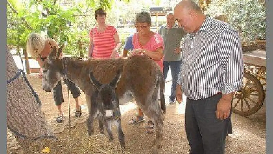 DUMAN VE LİNDA'NIN KIZI OLDU