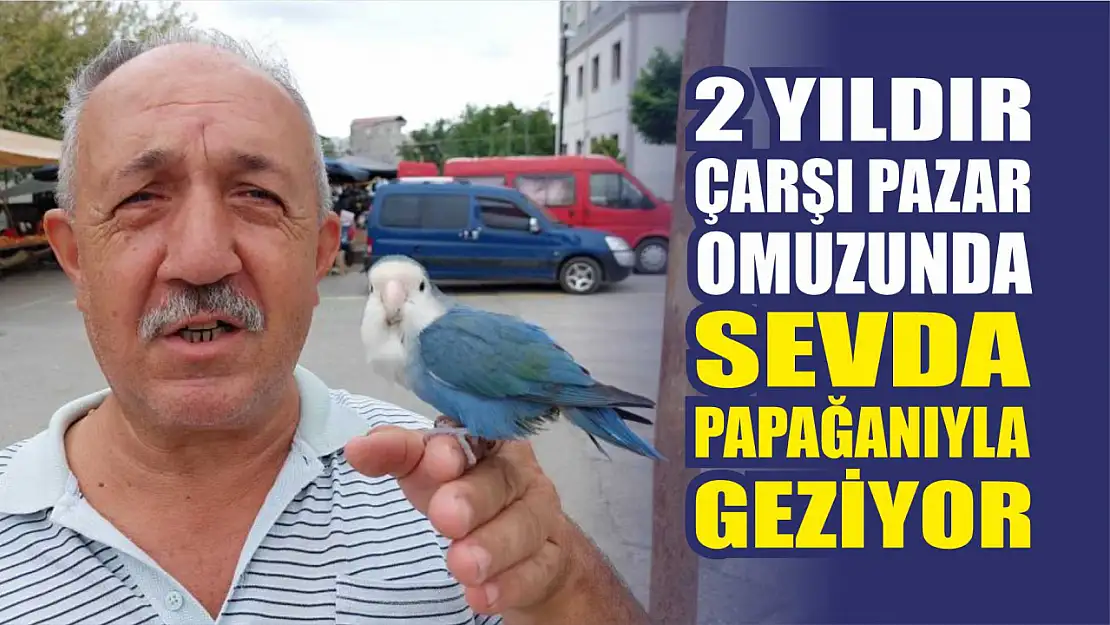 2 yıldır çarşı pazar omuzunda Sevda Papağanı ile geziyor