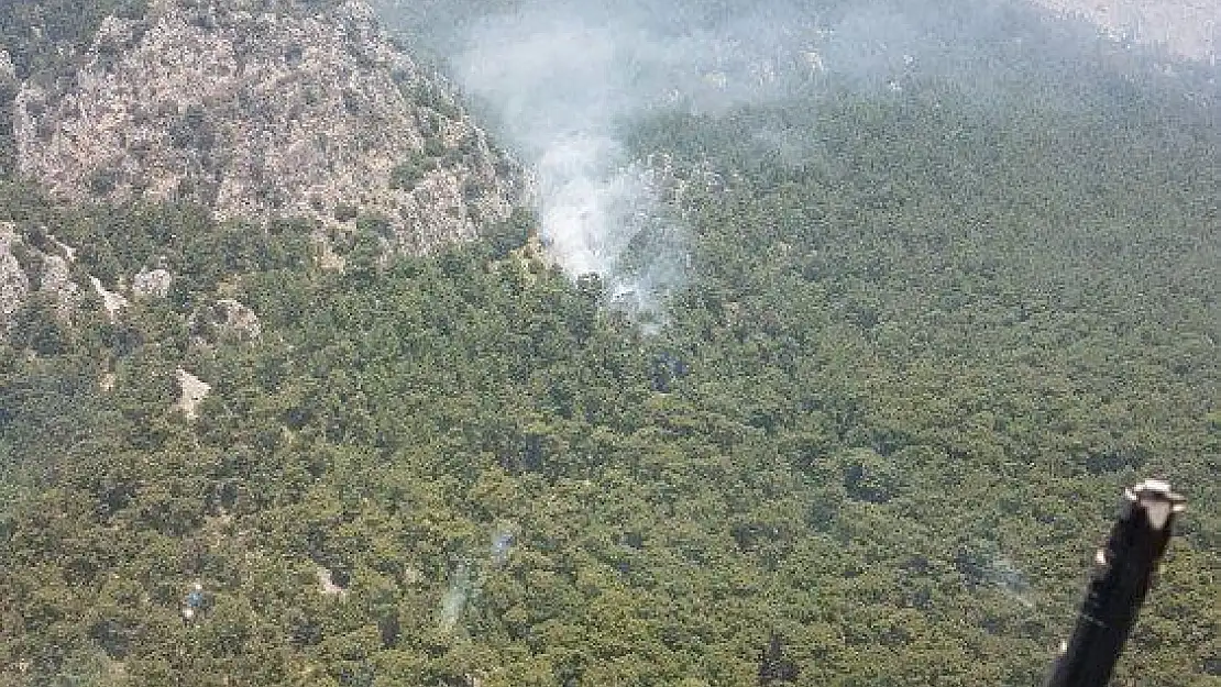 Muğla'da orman yangını