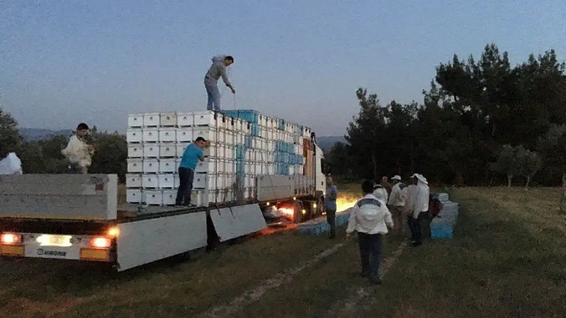 Gezginci arıcılar yollara düşüyor