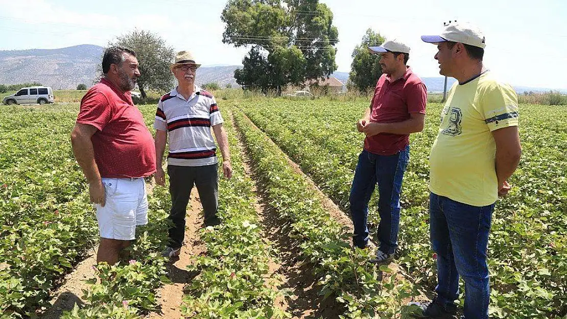 Beyaz altın yeniden rağbet görmeye başladı