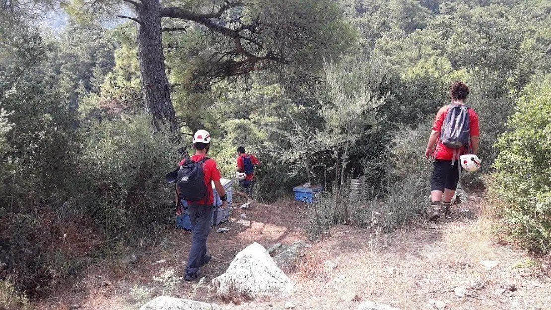 Kaybolan Rus turist için AKUT ve jandarma seferber oldu