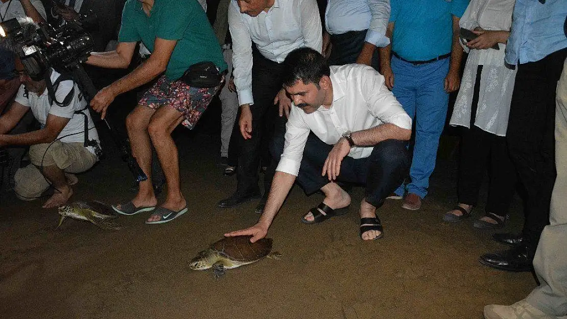 Bakan Kurum caretta carettaları denizle buluşturdu