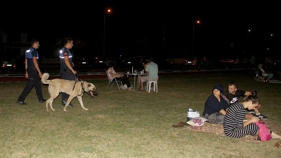 Aracın arkasına bağlayıp sürüklenen köpek 'turizm zabıtası' oldu