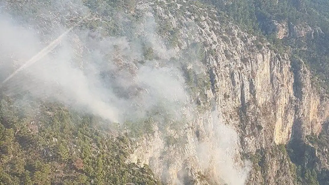 Yıldırım 2 hektar ormanlık alana zarar verdi