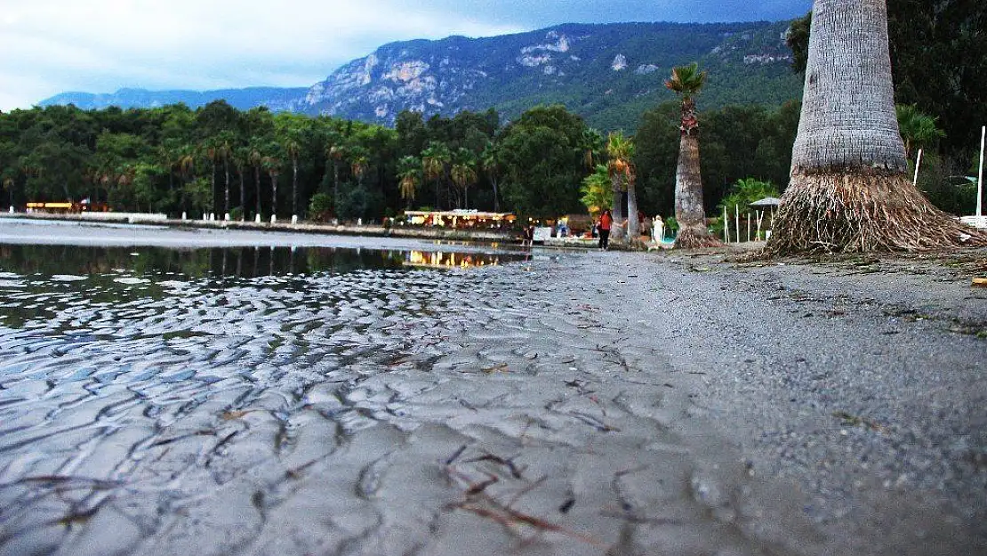 Denizde ürküten su çekilmesi