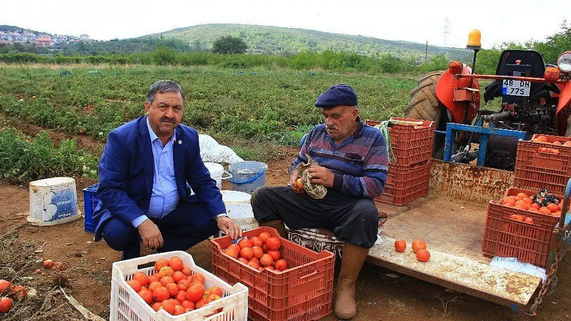 Baştuğ: 'Yağışlar üretici açısından iyi'