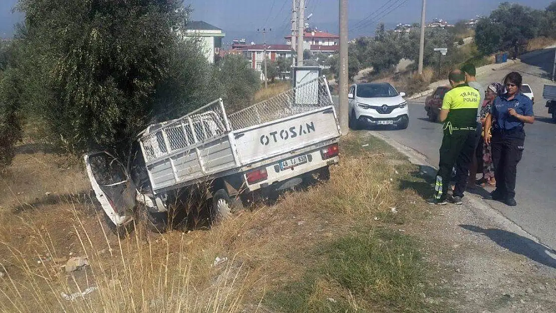 Milas'ta kontrolden çıkan araç zeytinlik araziye uçtu