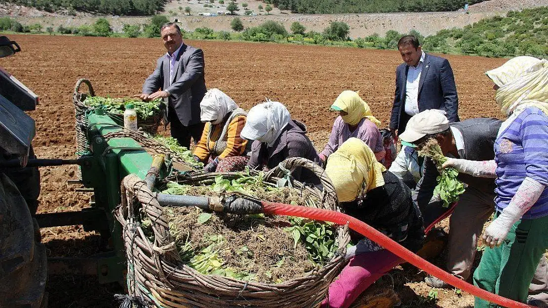 Baştuğ, 'Çiftçilerimize zirai alet hibe desteği şart'