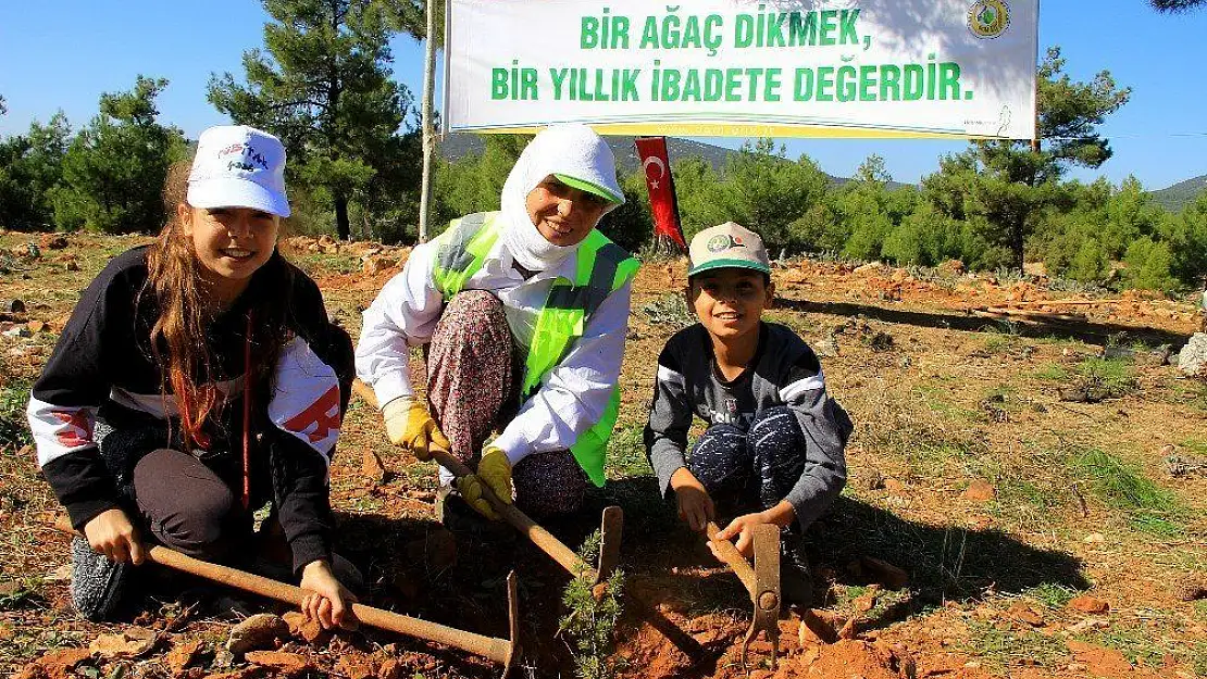 Fidanlar, fidanlarla büyüyecek