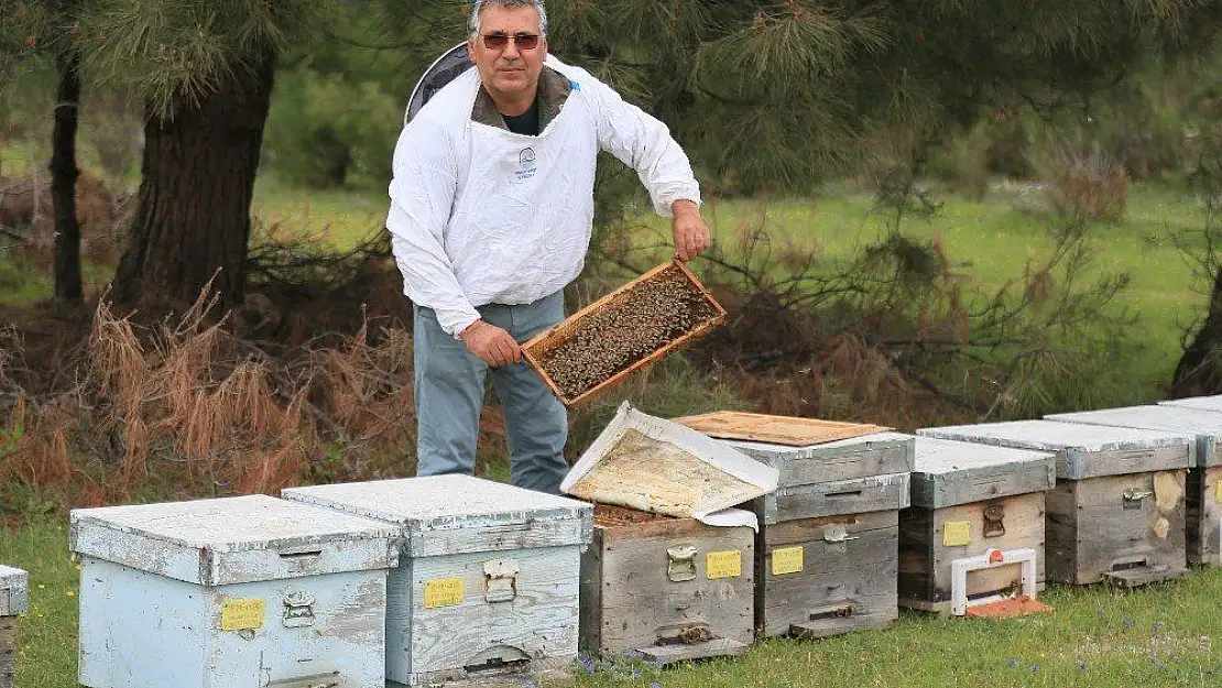 Varroa ile toplu mücadele dönemi başlıyor