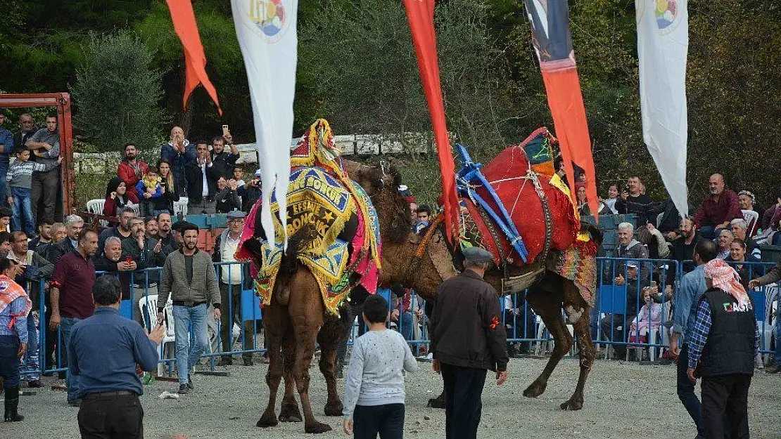 Develer Ortaca'da güreşti