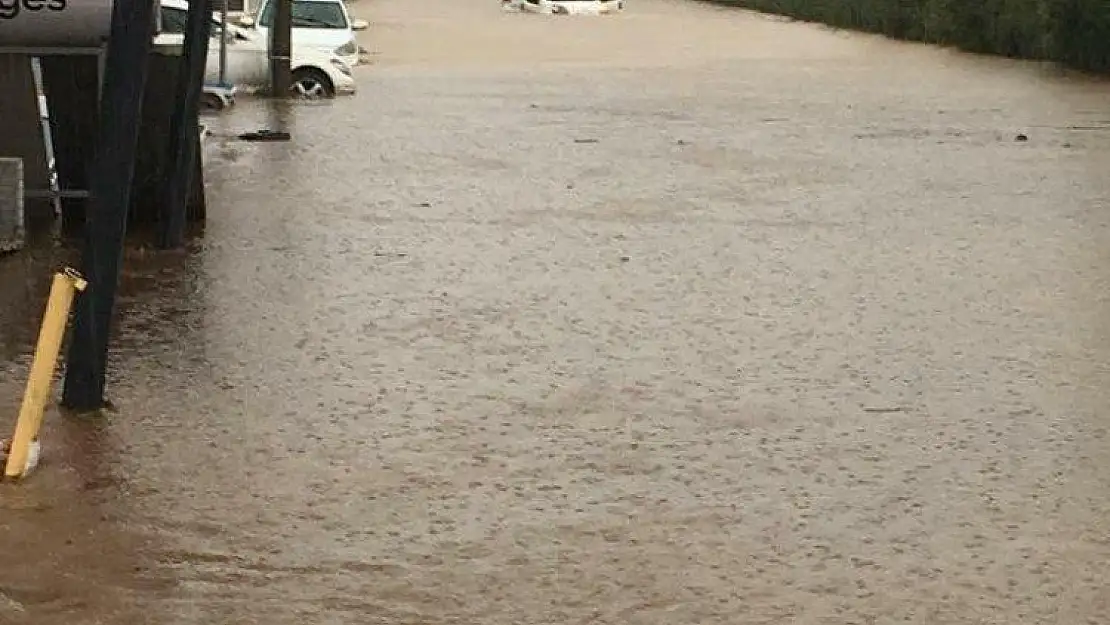 Bodrum'da dehşete düşüren görüntüler