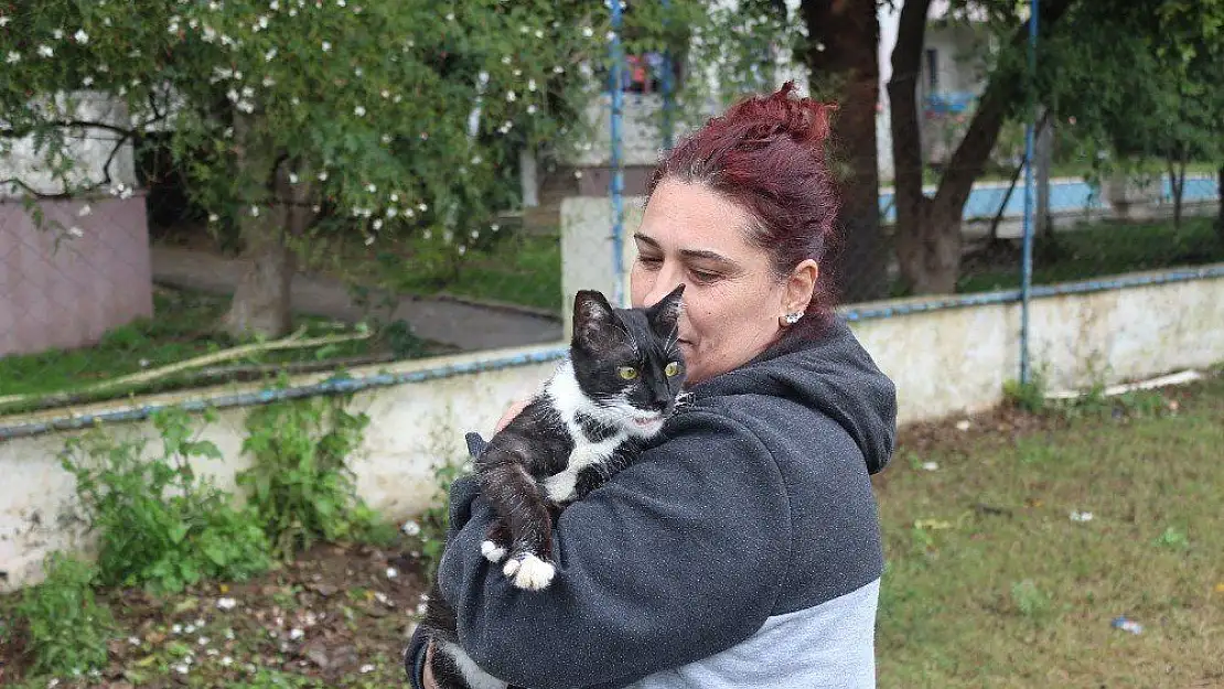 Marmarisli hayvanseverlerden çağrı 'Hayvanları satın almayın, sahiplenin'