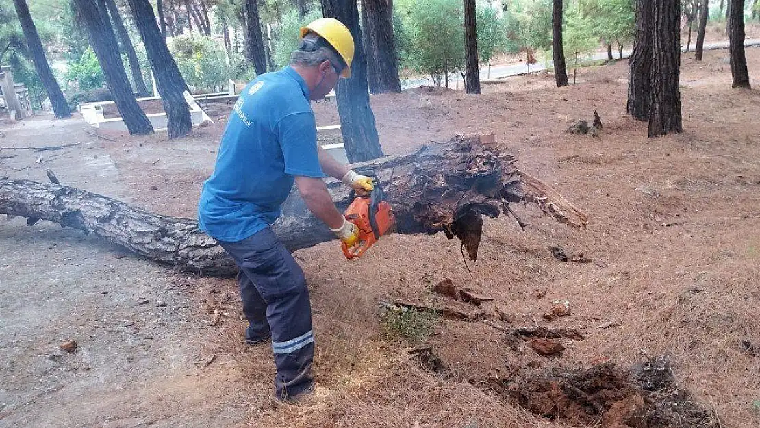 Mezarlık temizliği ihtiyaç sahiplerine yakacak olarak dönüyor